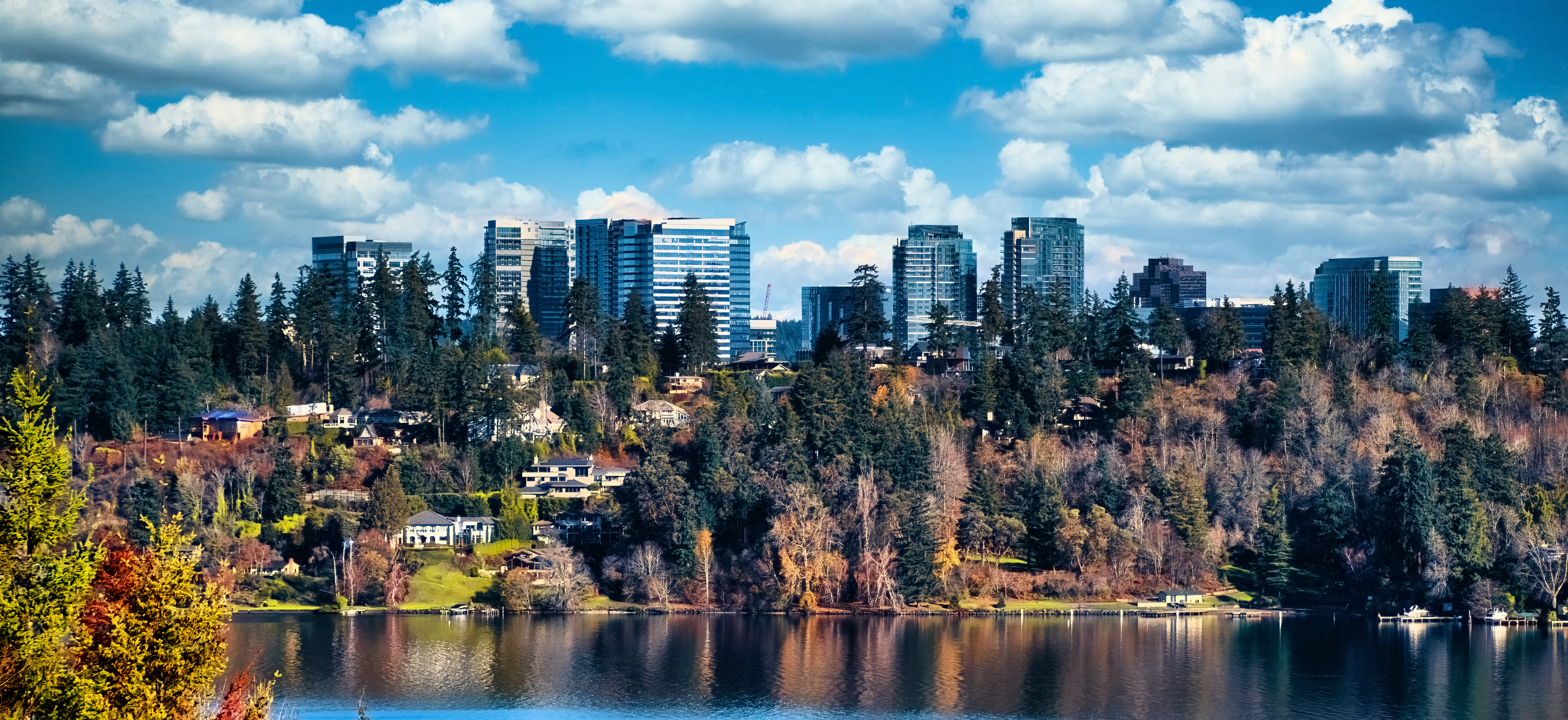 Complete home remodel in Bellevue, WA
